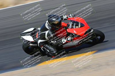 media/Feb-05-2023-SoCal Trackdays (Sun) [[b2340e6653]]/Turn 12 Inside (11am)/